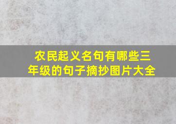 农民起义名句有哪些三年级的句子摘抄图片大全