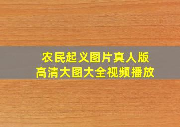 农民起义图片真人版高清大图大全视频播放