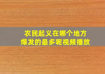 农民起义在哪个地方爆发的最多呢视频播放