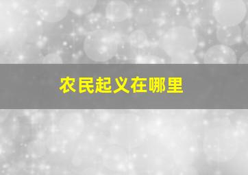 农民起义在哪里