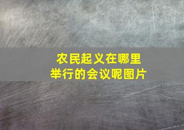 农民起义在哪里举行的会议呢图片