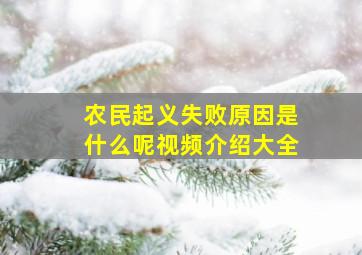 农民起义失败原因是什么呢视频介绍大全