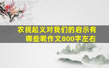 农民起义对我们的启示有哪些呢作文800字左右