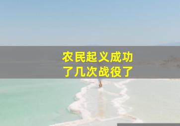 农民起义成功了几次战役了