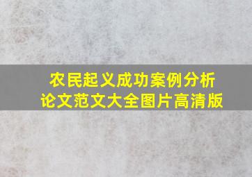 农民起义成功案例分析论文范文大全图片高清版