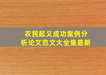 农民起义成功案例分析论文范文大全集最新