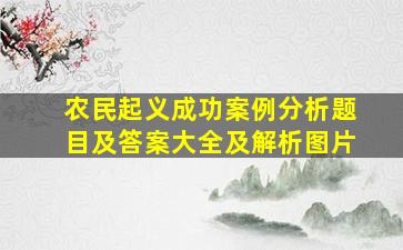 农民起义成功案例分析题目及答案大全及解析图片