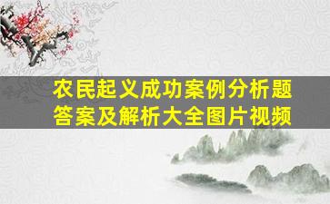 农民起义成功案例分析题答案及解析大全图片视频