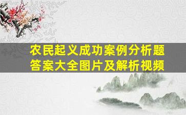 农民起义成功案例分析题答案大全图片及解析视频