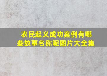 农民起义成功案例有哪些故事名称呢图片大全集