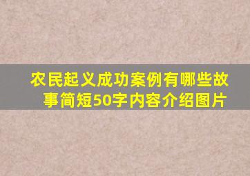 农民起义成功案例有哪些故事简短50字内容介绍图片