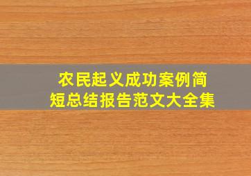 农民起义成功案例简短总结报告范文大全集