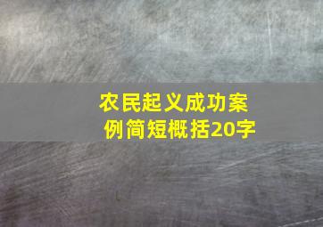 农民起义成功案例简短概括20字