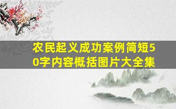 农民起义成功案例简短50字内容概括图片大全集