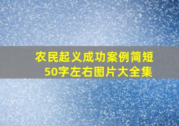 农民起义成功案例简短50字左右图片大全集