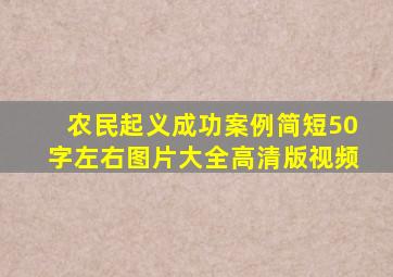 农民起义成功案例简短50字左右图片大全高清版视频