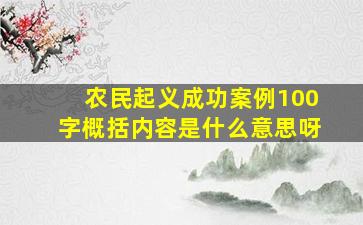 农民起义成功案例100字概括内容是什么意思呀