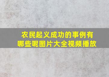 农民起义成功的事例有哪些呢图片大全视频播放