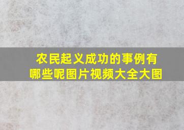 农民起义成功的事例有哪些呢图片视频大全大图