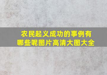 农民起义成功的事例有哪些呢图片高清大图大全