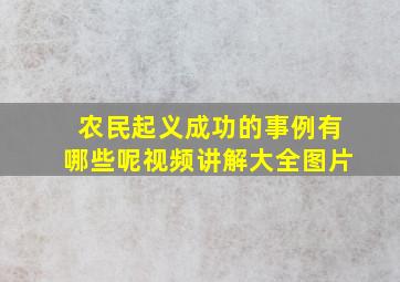 农民起义成功的事例有哪些呢视频讲解大全图片