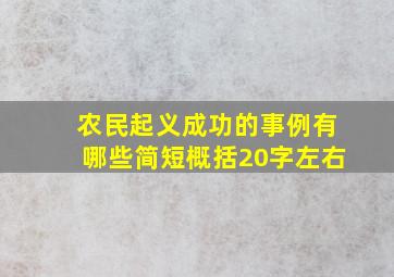 农民起义成功的事例有哪些简短概括20字左右