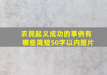 农民起义成功的事例有哪些简短50字以内图片