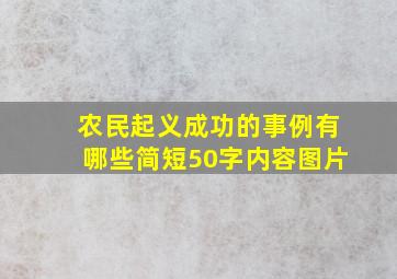 农民起义成功的事例有哪些简短50字内容图片