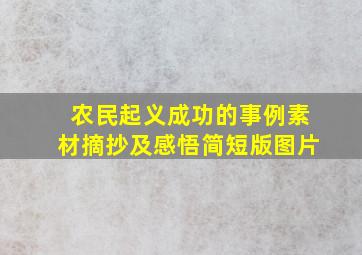 农民起义成功的事例素材摘抄及感悟简短版图片