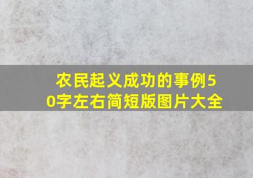 农民起义成功的事例50字左右简短版图片大全