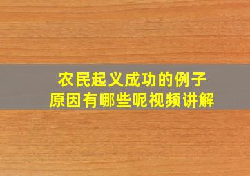 农民起义成功的例子原因有哪些呢视频讲解