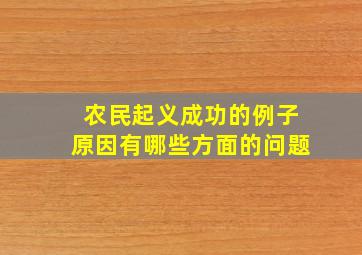 农民起义成功的例子原因有哪些方面的问题