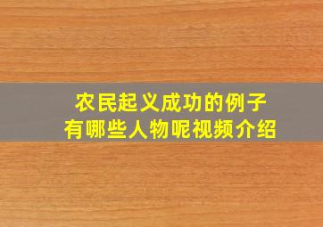 农民起义成功的例子有哪些人物呢视频介绍