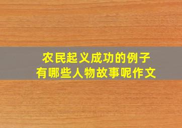 农民起义成功的例子有哪些人物故事呢作文