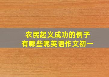 农民起义成功的例子有哪些呢英语作文初一