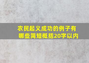 农民起义成功的例子有哪些简短概括20字以内