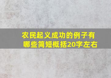 农民起义成功的例子有哪些简短概括20字左右