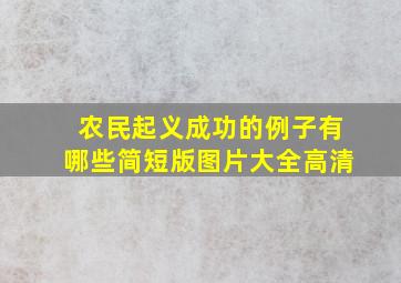 农民起义成功的例子有哪些简短版图片大全高清