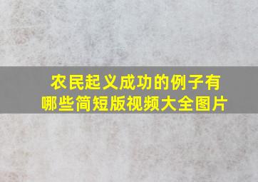 农民起义成功的例子有哪些简短版视频大全图片