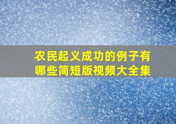 农民起义成功的例子有哪些简短版视频大全集