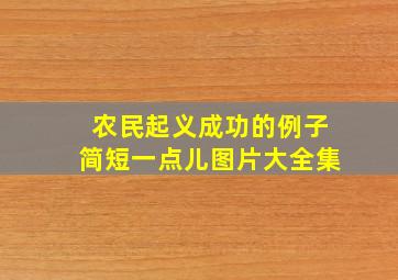 农民起义成功的例子简短一点儿图片大全集