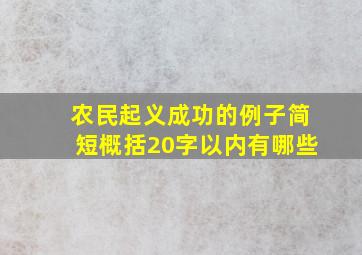 农民起义成功的例子简短概括20字以内有哪些