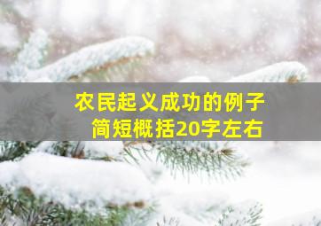 农民起义成功的例子简短概括20字左右