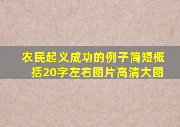 农民起义成功的例子简短概括20字左右图片高清大图