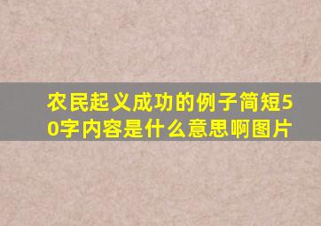 农民起义成功的例子简短50字内容是什么意思啊图片