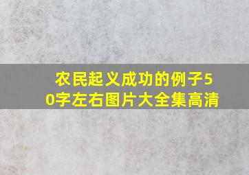 农民起义成功的例子50字左右图片大全集高清