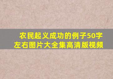 农民起义成功的例子50字左右图片大全集高清版视频