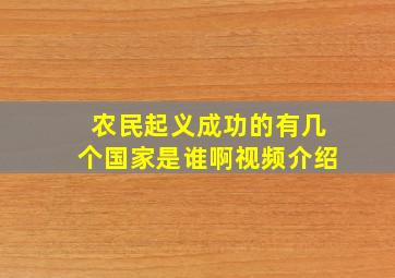 农民起义成功的有几个国家是谁啊视频介绍