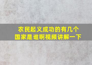 农民起义成功的有几个国家是谁啊视频讲解一下