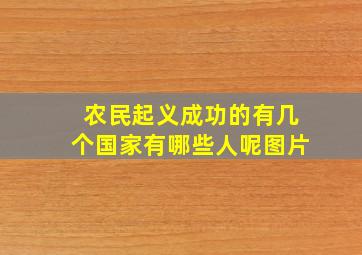 农民起义成功的有几个国家有哪些人呢图片